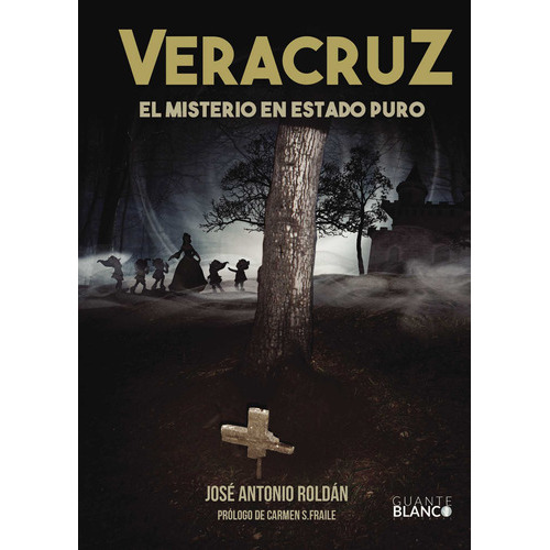 VERACRUZ EL MISTERIO EN ESTADO PURO, de Roldán Sánchez , José Antonio.. Editorial Guante Blanco, tapa blanda, edición 1.0 en español, 2016