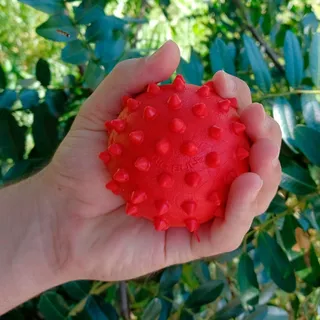 Bola Pula Pula Maciço Brinquedo Para Cachorro Reino Do Pet Cor Vermelho