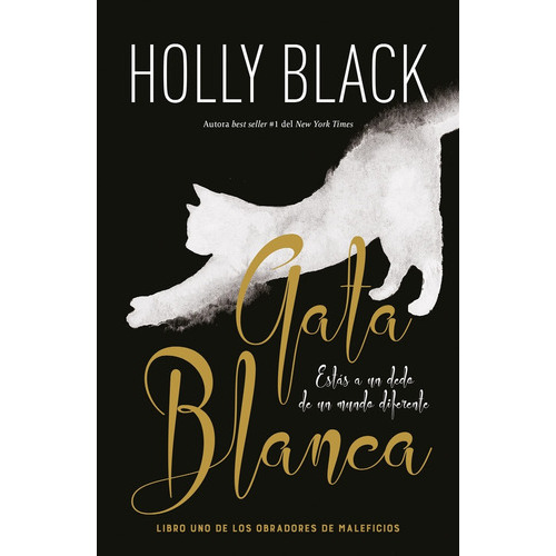 Gata Blanca: Los Obradores De Maleficios Libro 1, De Holly Black. Editorial Umbriel, Tapa Blanda, Edición 1 En Español