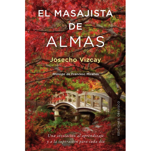 El masajista de almas: Una invitación al aprendizaje y a la superación para cada día, de Vizcay, Josecho. Editorial Ediciones Obelisco, tapa blanda en español, 2017