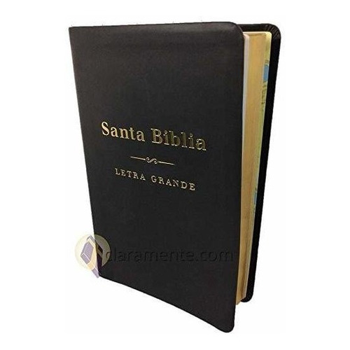 Santa Biblia - Reina Valera 1960 - Letra Grande