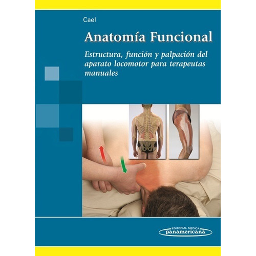 Anatomía Funcional Estructura Función Y Palpación  Cael