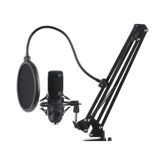 Shenlong Microfono Streaming Sm-arm909 Usb Soporte De Ppct Color Negro