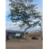 Urbanizacion Cedritos Campestre ( Lotes Desde 150 Mts2 )