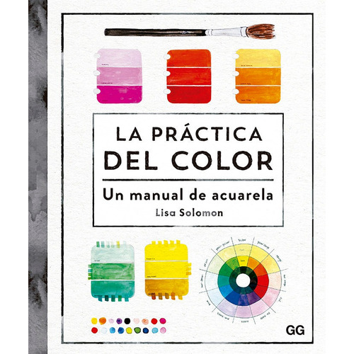 La Practica Del Color - Solomon, Lisa