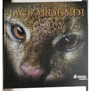 Puma Yaguarundi, Jaguaroundi Parque Veracruz 