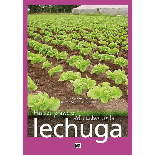 Manual Practico Del Cultivo De La Lechuga