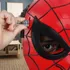 Máscara Hasbro Marvel Spiderman Glow Fx Kids Halloween 5+