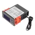 Controlador de temperatura 110/220 para cerveza artesanal Stc-1000