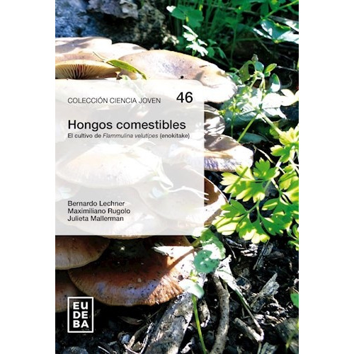 Hongos Comestibles - Lechner, Bernardo E. (papel)