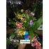 Orquidea Oncidium Adulta Sin Flor