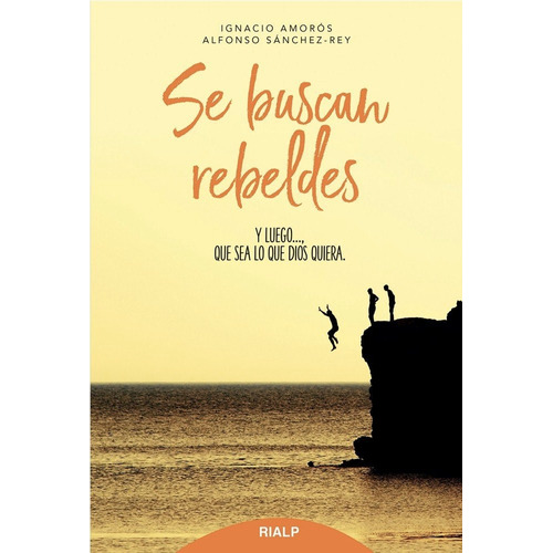 Se Buscan Rebeldes - Amoros, Ignacio Y Sanchez-rey, Alfonso