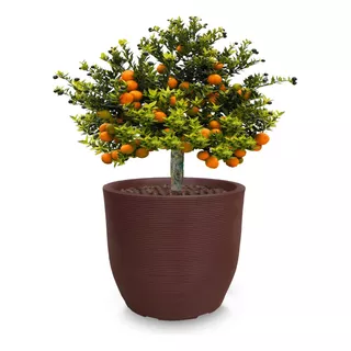 Vaso Grande Alto Redondo De Planta Frutifera Arvore R 70x70
