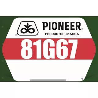Pioneer 81g67 Semilla Sorgo Antipajaro