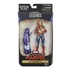 Figura De Acción Capitana Marvel Con Goose Marvel Legends