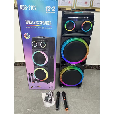 Torre Cabina Sonido 12pulgx2 2mic Inalambrico Ndr-2102 100w