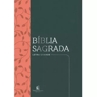 Bíblia Sagrada Nvi, Couro Soft, Verde, Letra Grande, Leitura Perfeita, De Thomas Nelson Brasil. Vida Melhor Editora S.a, Capa Mole Em Português, 2020