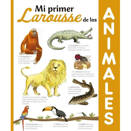 Libro Mi Primer Larousse De Los Animales