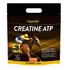 Suplemento con creatina para caballo en polvo Organnact Creatine ATP en sachet de 2kg