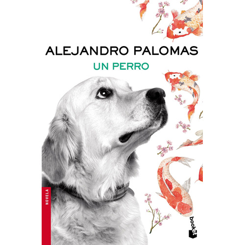 Alejandro Palomas Un perro Editorial Booket