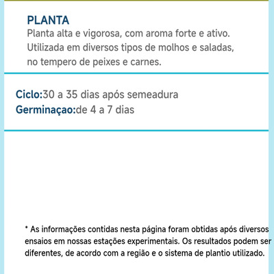 Semente De Coentro Verdão Topseed Kit 4 Pacotes 500 Gramas