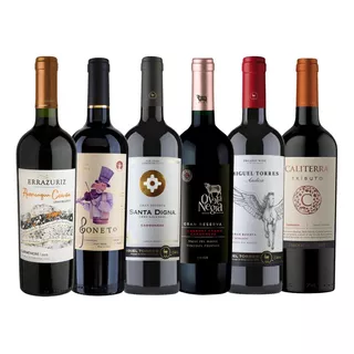 Pack 6x Vinos Gran Reserva Carmenere Mix