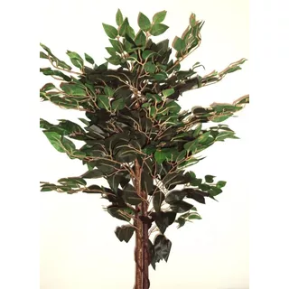 Plantas De Interior Artificiales - Ficus 120 Cm Tronco Real