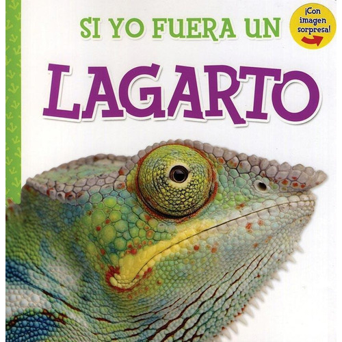Si Yo Fuera Un Lagarto, De Vv. Aa.. Editorial Kidsbooks En Español