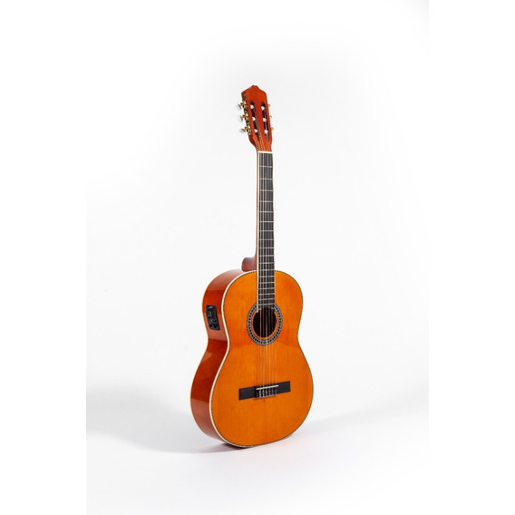 Guitarra Electroacústica Deviser L310-kl Profesional C/funda