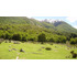 Sitio En Venta En Futalefu