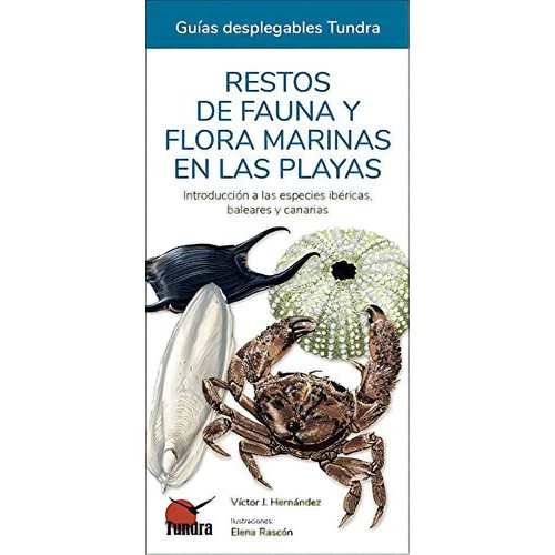 Restos De Fauna Y Flora Marinas En Las Playas, De Victor J. Hernandez. Editorial Tundra, Tapa Blanda En Español, 2021