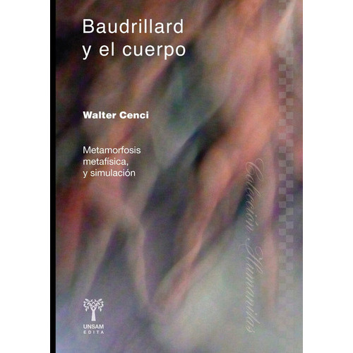 Baudrillard Y El Cuerpo, De Cenci Walter. Editorial Universidad De San Martin Edita, Tapa Blanda En Español, 2016