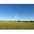 Cod36634 Campo Agrícola De 19 Hectareas En Venta En Victoria