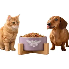 Comedouro Elevado Cerâmica Bambu 750ml Roxo Antiengasgo Comedouto Cães E Gatos Lopetudos