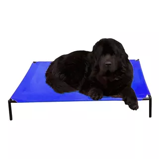 Catre Para Mascotas Perros (gigante Xl) Cama Perro Cucha 