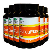 Kit 6 - Curcumax - Cúrcuma+piperina + Absorção E Imunidade