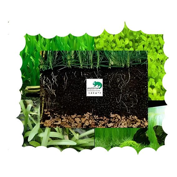 Regalado  Sustrato 100% Natural Nutritivo 6 Kg Plantas