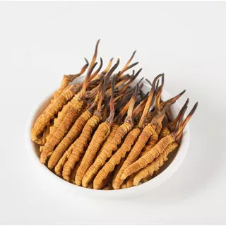 Cordyceps Sinensis, Wild Cordyceps, Hongo De Oruga China (d