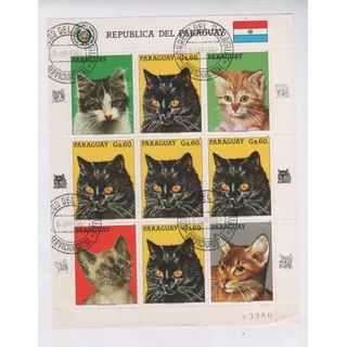Estampillas De Paraguay Hoja Serie  Animales Gatos Año 1984 