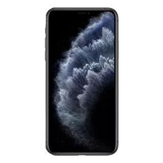 iPhone 11 Pro 256 Gb Gris Espacial