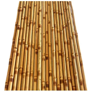 24un Bambu Natural Tratado Ecologicamente, 1,90 Mts 