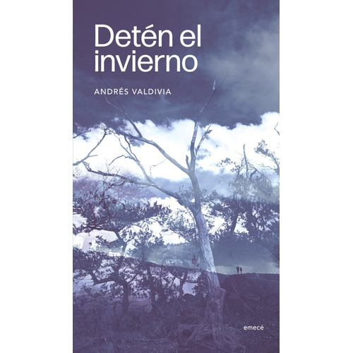 Libro Detén El Invierno - Andrés Valdivia