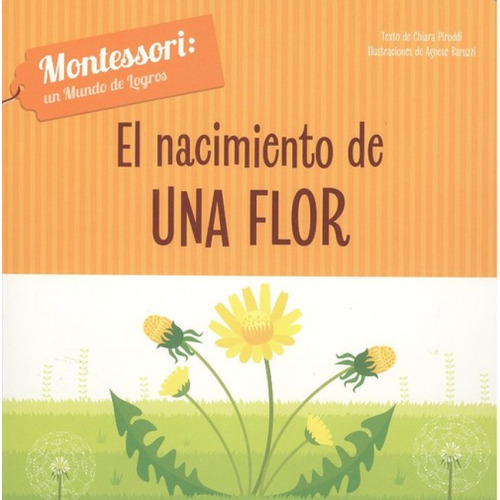 El Nacimiento De Una Flor - Montessori Un Mundo De Logros (t