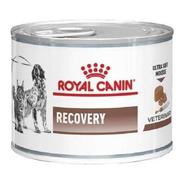Alimento Royal Canin Veterinary Diet Canine Recovery Para Perro Adulto Todos Los Tamaños Sabor Mix En Lata De 145g