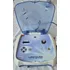 Aparelho Laser Terapia
