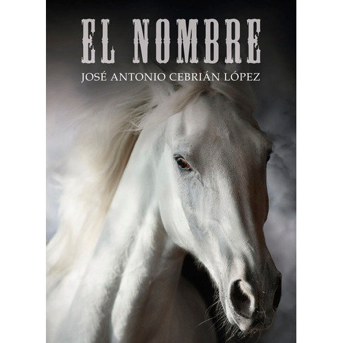 EL NOMBRE, de Cebrián López, José Antonio. Editorial Edición Punto Didot, tapa blanda en español