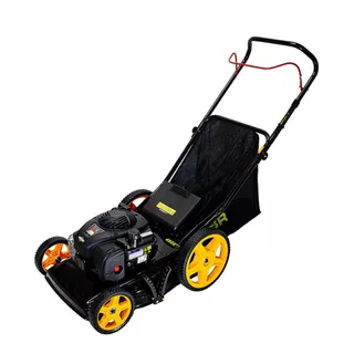 Cortadora De Cesped Naftera Dibra R68ne Briggs Stratton Cts Color Negro