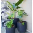 Servicios De Jardinería Y Paisajismo 