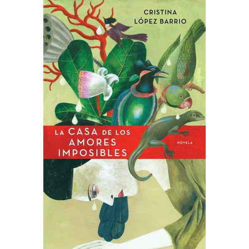 La Casa De Los Amores Imposibles - Cristina Lã³pez Barrio