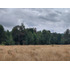 Espectacular Campo De 200 Hectareas En Loncoche